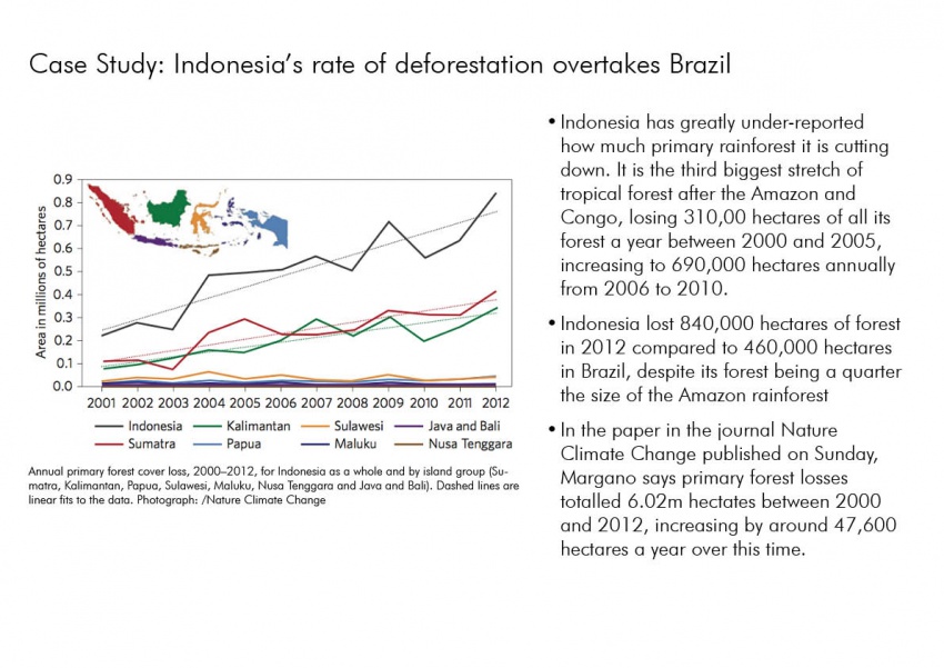 Deforestation case study.jpg