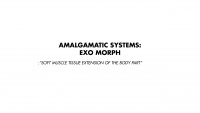 Amalgamatic Systems39.jpg