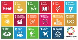 Global Goals.jpg