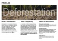 Deforestation2.jpg